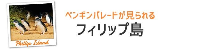 フィリップ島