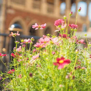 舞浜の観光写真