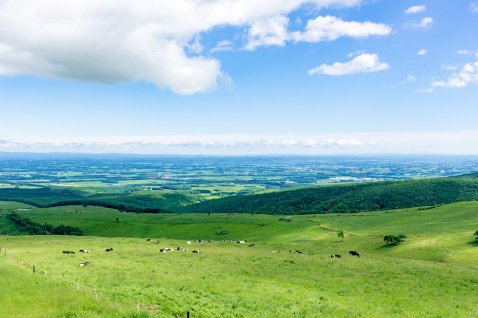 ナイタイ高原