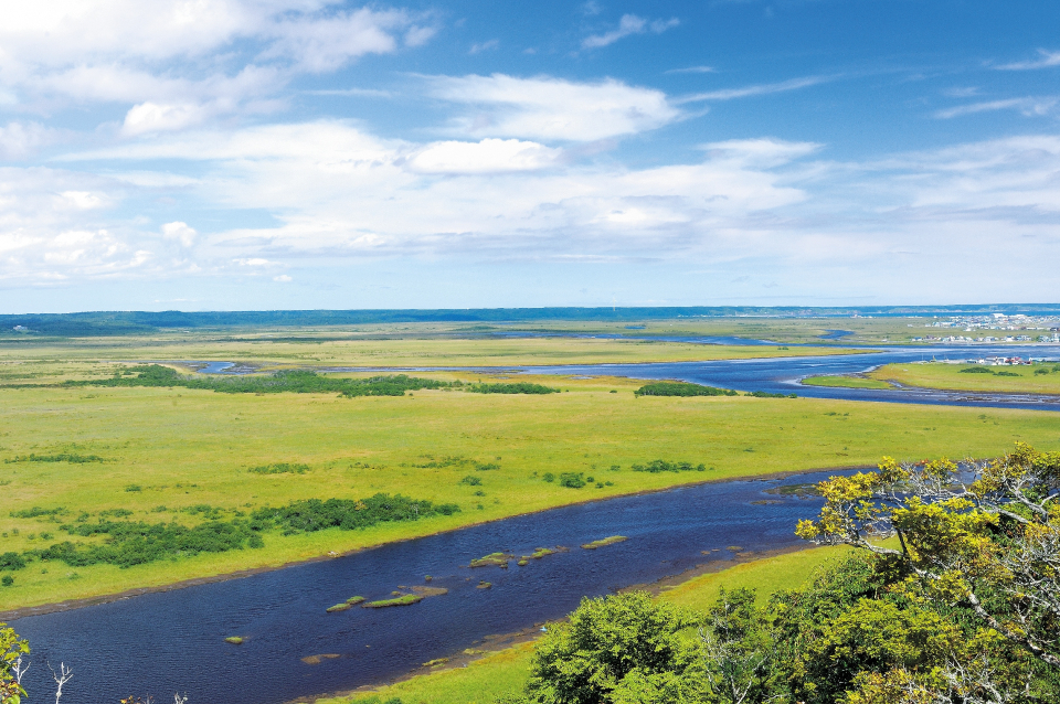 根室中標津空港