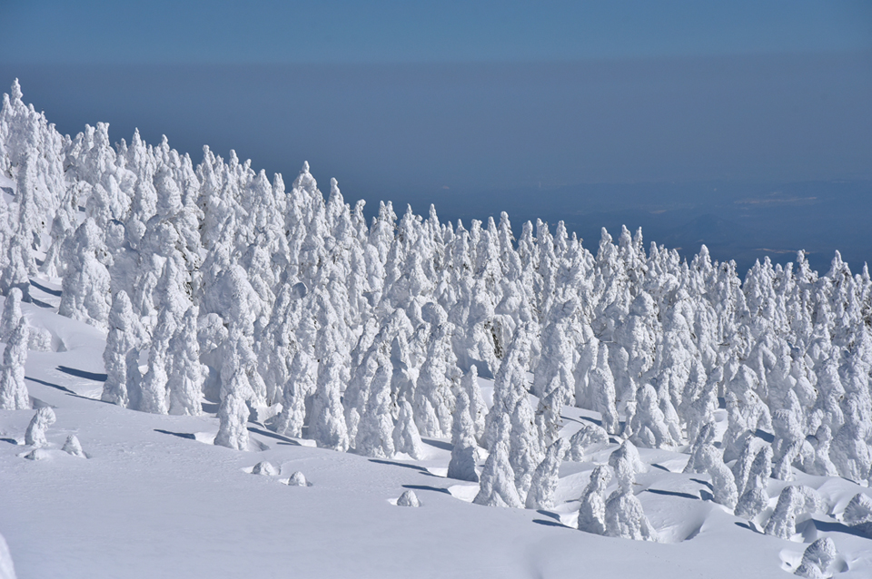 蔵王_樹氷（イメージ）