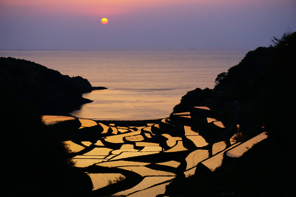 浜野浦の棚田（イメージ）