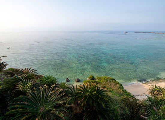 ウミガメビューポイント