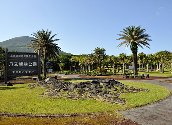 八丈植物公園