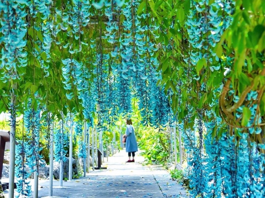 ユートピアファーム宮古島