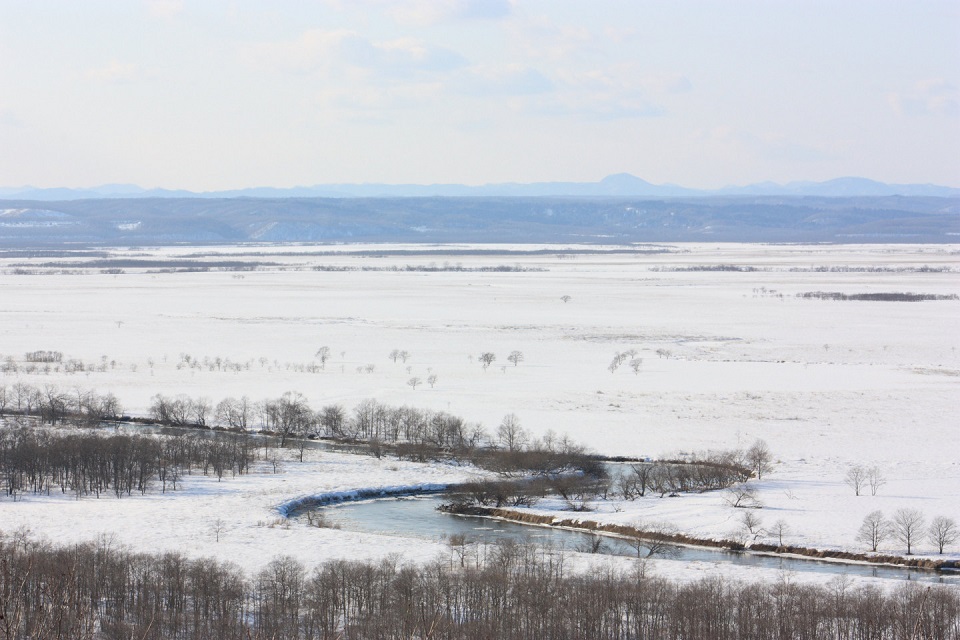 くしろ湿原ノロッコ号