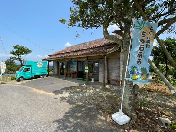たくし農園ちゅらふるパイナップル直売所