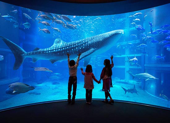 海遊館