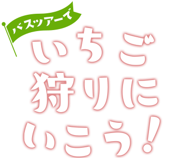 関西発 バスツアーでいちご狩りに行こう！いちご狩り特集