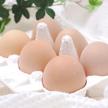 名古屋コーチン