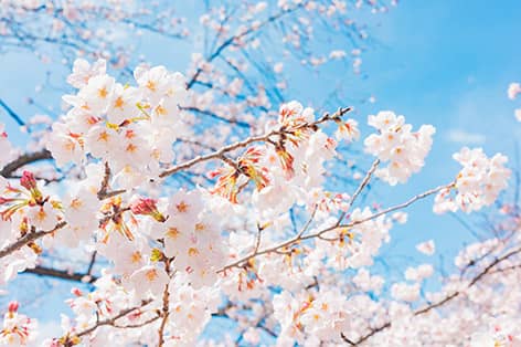 モリコロパーク（長久手市）