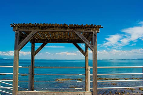 日間賀島（知多郡）