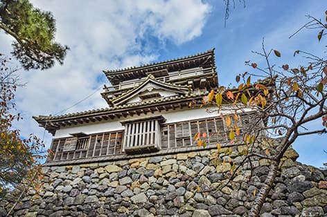 丸岡城（坂井市）