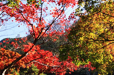 金華山（岐阜市）