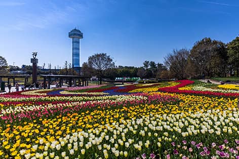 木曽三川公園（海津町）