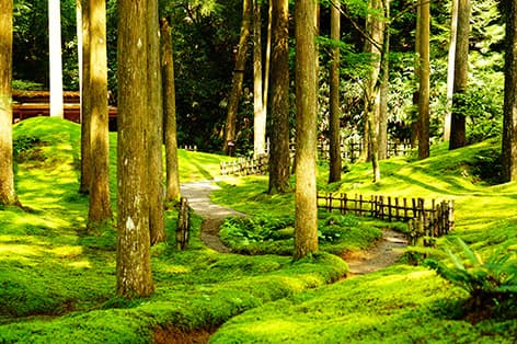 苔の里（小松市）