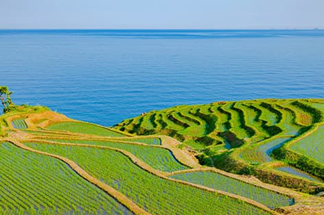 白米千枚田（輪島市）