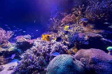 鳥羽水族館（鳥羽市）