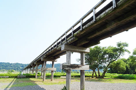 静岡・清水・島田・藤枝・焼津