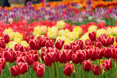 高岡・氷見・砺波