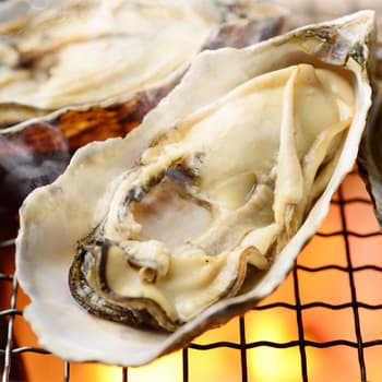 牡蠣