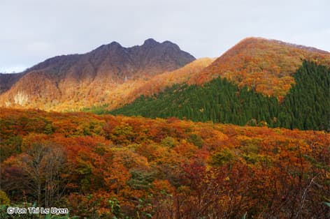 大山（西伯郡大山町）