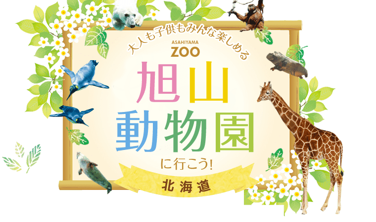 北海道・旭山動物園に行こう！