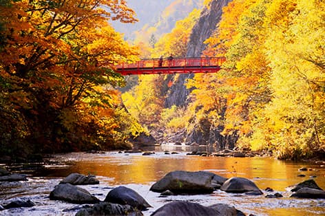 北海道（イメージ）