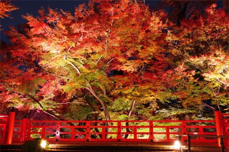 北野天満宮（京都市）