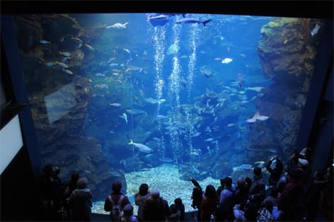 京都水族館（京都市）