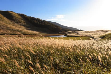 曽爾高原（宇陀郡）