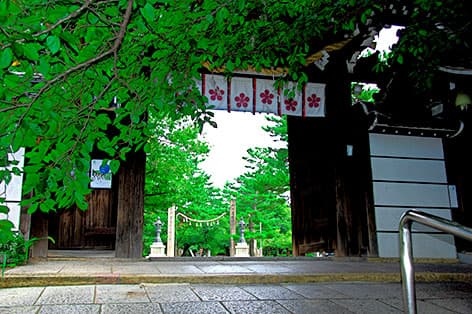 藤井寺・富田林・河内長野