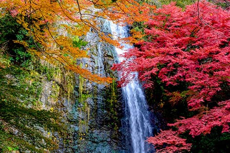 箕面大滝（箕面）