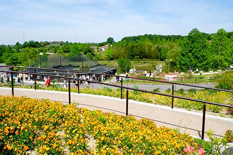 ハーベストの丘（堺）