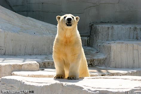 天王寺動物園（大阪市）