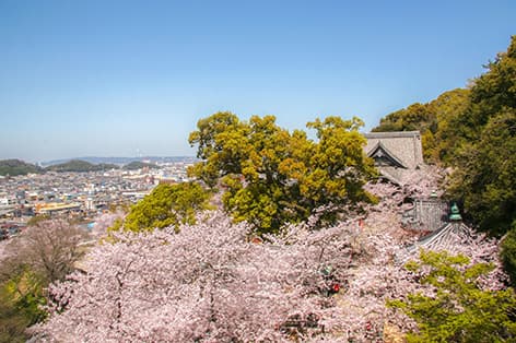 紀三井寺（和歌山）
