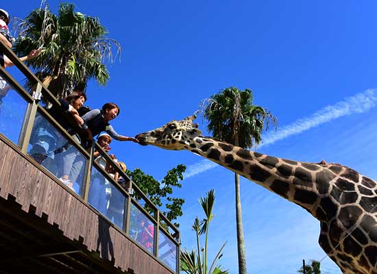 アドベンチャーワールド（西牟婁郡）