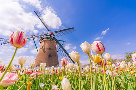 成田・佐倉・八街