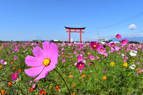 太田・伊勢崎・桐生