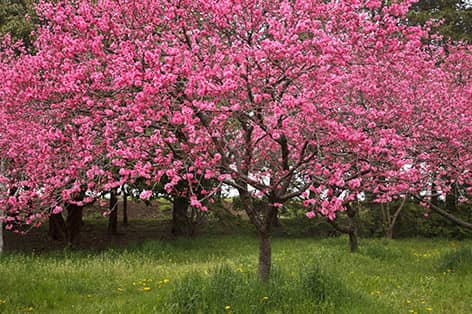 古河・結城・常総・筑西
