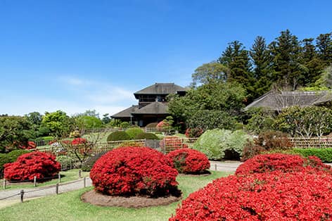 偕楽園（水戸市）
