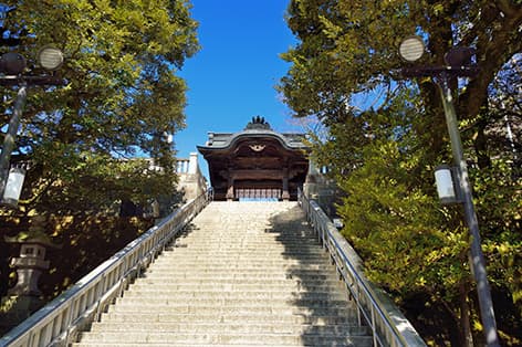 宇都宮・さくら