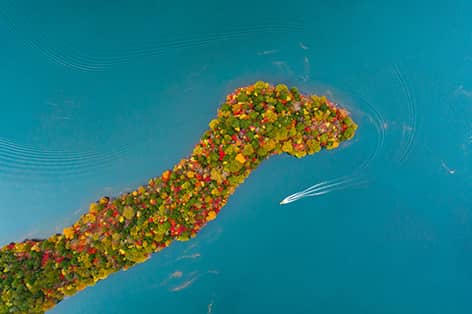 中禅寺湖（日光市））
