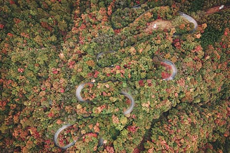 いろは坂（日光市）