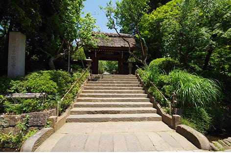 八王子・調布・府中・町田