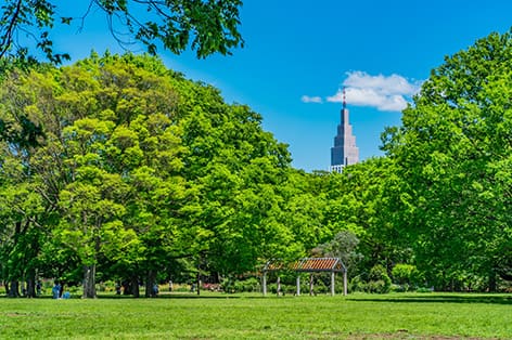 代々木公園（渋谷区）