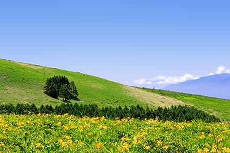 白樺湖・霧ヶ峰・茅野