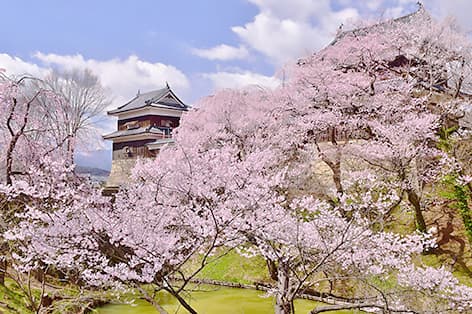 上田城（上田市）