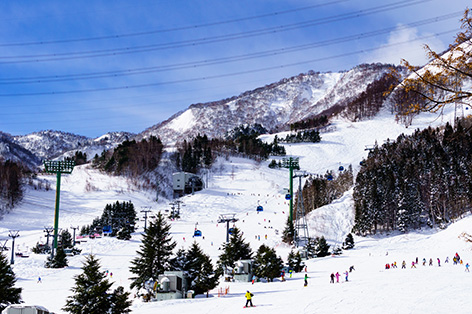 苗場スキー場（南魚沼郡）