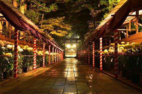 彌彦神社（西蒲原郡）